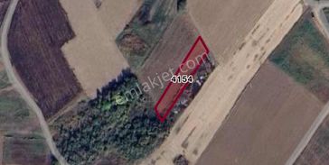 Cb Black'tan Karacabey Harmanlı'da Yatırımlık 1650m² Tarla