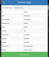 Cb Black'ten Mudanya Mesudiye'de Deniz Manzaralı Zeytinlik
