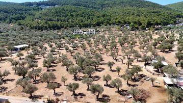 Güvendik'te Harika Lokasyonda Ful Deniz Manzaralı Tarla
