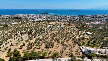 Güvendik'te Harika Lokasyonda Ful Deniz Manzaralı Tarla