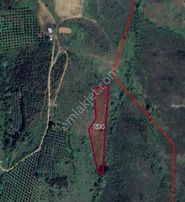 Cb Black'ten Karacbey Subaşı'da Satılık Harika Konumda Tarla