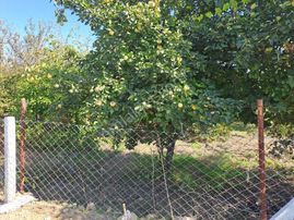 Ahmetbeyli Yolu Üzerinde Satılık Parseller