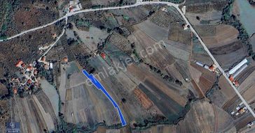 Kandıra Eğercili Yola Bir Parsel 3228 M2 Satılık Arazi