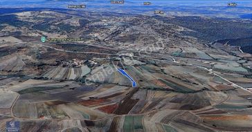 Kandıra Eğercili Yola Bir Parsel 3228 M2 Satılık Arazi