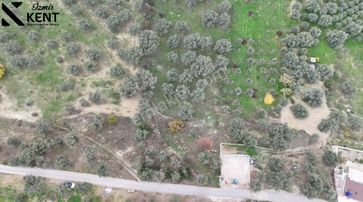 Dereköy 4.563 M2 Bahçe Müstakil Tapu Yol Cepheli