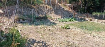 Sahibinden Doğa Manzaralı Müstakil Arsa