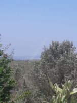 Yalıçiftlik Resmi Kadastro Yoluna Cepheli