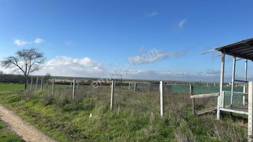 Tekirdağ Kapaklı Karlı Satılık 2950m2 Tek Tapu Kupon Bağ Yeri