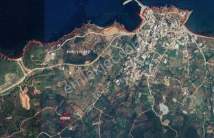 Balıkesir Bandırma Sunullah Mah. 3.283 M2 Satılık Zeytinlik Yatırımlık