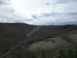 Turyap'tan Harmanlı'da Eko Imarlı Vılla Parselleri...