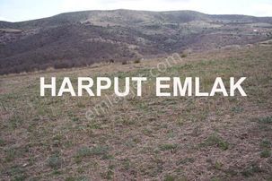 Acil İhtiyaçtan Mandıraya Uygun 10 Dönüm Müstakil Tek Tapulu.