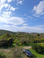 Karaburun Salman'da 1915 M2 / 75 Ağaçlı Satılık Mandalina Bahçesi!