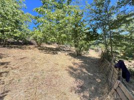 Kocaeli - Kandıra / Topluca Mh. 900 M2 %40 İmarlı Arsa