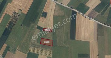 Dialog Sun Satılık İnegöl Hamzabey Mah. Fırsat 2 Adet Tarla