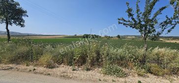 Dialog Sun Satılık İnegöl Hamzabey'de Yola Sıfır Fırsat Tarla