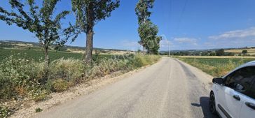 Dialog Sun Satılık İnegöl Hamzabey'de Yola Sıfır Fırsat Tarla