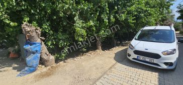 Dialog Sun Satılık İnegöl Hamzabey Mah . 313m2 Arsa