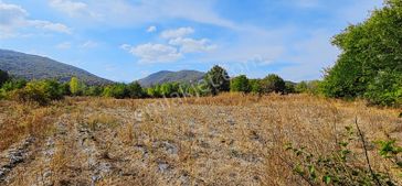 Dialog Sun Satılık İnegöl Kınık 7.086m² Yatırıma Uygun Tarla