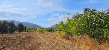 Dialog Sun Satılık İnegöl Kınık 7.086m² Yatırıma Uygun Tarla