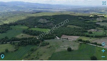 Dialog Sun Satılık Mustafakemalpaşa Çamlıca'da 11.100 M² Tarla