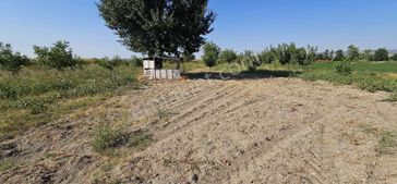 Dıalog Sun Satılık İnegöl Alibey Mah . 2.232 M² Tarla