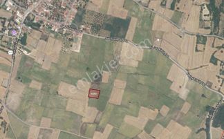 Dıalog Sun Satılık İnegöl Süpürtü'de Yatırımlık Tarla