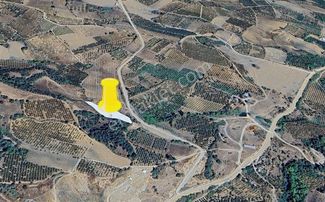 Dialog Sun Satılık İnegöl İsaören'de Yatırıma Uygun Tarla 5.608m