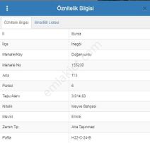 Dialog Sun Satılık İnegöl Doğanyurdun'da 3015m² Meyve Bahçesi