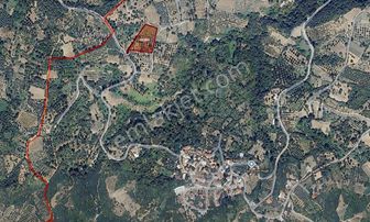 Dialog Sun Satılık İnegöl Paşaören 5.411m² Meyve Bahçesi