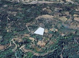 Dialog Sun Satılık İnegöl Paşaören 5.411m² Meyve Bahçesi