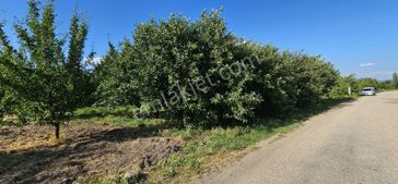 Dialog Sun Satılık İnegöl Yenicköy Mah. 2700m² Yola Cephe Tarla