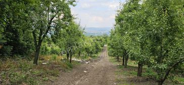 Dialog Sun Satılık İnegöl Edebey'de Yola Cephe 18 Dönüm Tarla