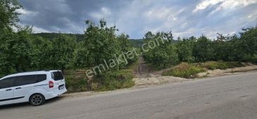 Dialog Sun Satılık İnegöl Edebey'de Yola Cephe 18 Dönüm Tarla