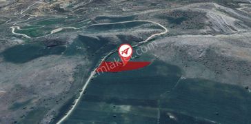 Çorum Mecitözü Hisarkavak Satılık 10000m2 Tarla