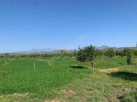 Ortaca Arıkbaşında 5400 M2 Hazır Çiftlik Satılık