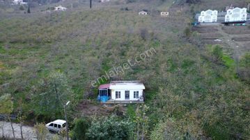 Trabzon Tosköyde Satılık Az Eğimli Arazi