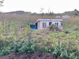 Trabzon Tosköyde Satılık Az Eğimli Arazi