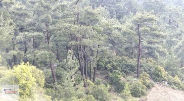 Kemalpaşa Ansızca'da Satılık Arsa