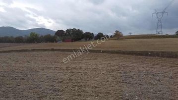 Altıeylül Konakpınar'da Satılık Fırsat Arazi