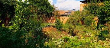 Köy İçinde Bin M2 Bahçeli Müstakil Ev