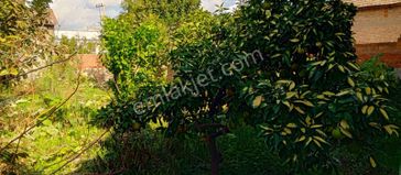 Köy İçinde Bin M2 Bahçeli Müstakil Ev