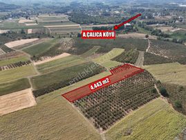 Emlakevim - Karatoprak Mahallesinde Satılık 4.443 M2 İmarlı Tarla !