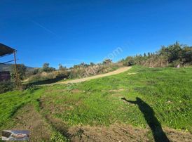 Ulus Emlak'tan Satılık Hayvan Çiftliği Ve Arazisi