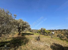 Torbalı Yazıbaşı İstiklal'de Satılık Müstakil Tapulu Tarla