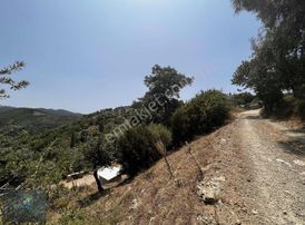 Seferihisar Gödence Köy İçinde 471m2 İmarlı Arsa 1.245m2