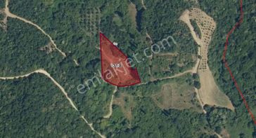 Cb Black'ten Orhangazi Heceler'de 55m2 Hisseli Satılık Tarla*