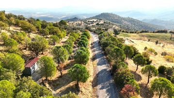 🌀gültaş Emlaktan Burhaniyede Satılık Asvalta Cephe Doğa Sevenler İçin