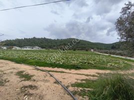 Turyap Menderes'ten Değirmendere'de Hisse Tapulu 4589m² Tarla