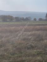 Kırklarelı Kofçazkocatarla Satılık Tarla