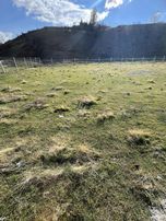 Kuzey Emlak Tan Asfalst Yola Cephe Acil Satılık 1020 Metre Kare